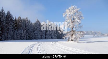 Wintry landscape paysage avec modification du ski de façon Banque D'Images