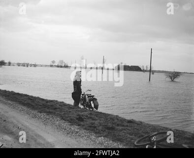 Terrain inondé près de Meppel, 22 janvier 1959, LANDERIES, inondé, pays-Bas, agence de presse du xxe siècle photo, nouvelles à retenir, documentaire, photographie historique 1945-1990, histoires visuelles, L'histoire humaine du XXe siècle, immortaliser des moments dans le temps Banque D'Images