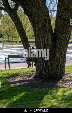 Helsinki / Finlande - 22 MAI 2021 : un homme âgé assis sur un banc dans un parc public derrière un grand arbre. Banque D'Images