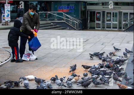 Slough, Berkshire, Royaume-Uni. 23 mai 2021. Temps d'alimentation pour les pigeons. Le taux d'infection par roulement de sept jours Covid-19 pour 100,000 000 personnes à Slough pour la semaine se terminant le 18 mai est passé de 22.7 à 25.4. Étant donné que le nombre de cas positifs de la variante indienne Covid-19 commence à augmenter, la levée éventuelle des restrictions de verrouillage en juin est peut-être en danger. Crédit : Maureen McLean/Alay Banque D'Images