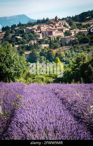 Vue sur le village d'Aurel depuis un champ de lavande Banque D'Images