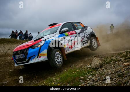 84 Delbin GARCIA (esp), Coral BARROSO (esp), FEDERACION ANDALUZA DE AUTO, PEUGEOT 208 auto4, action pendant le Rallye de Portugal 2021, 4ème tour de la FIA WRC 2021, FIA World Rally Championship, du 20 au 23 mai 2021 à Matosinhos, Portugal - photo Paulo Maria / DPPI Banque D'Images