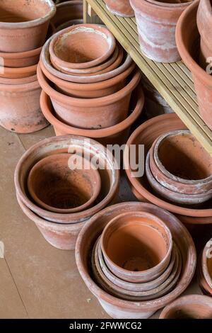 Pots de plantes d'argile traditionnelle en serre, Angleterre, Royaume-Uni Banque D'Images