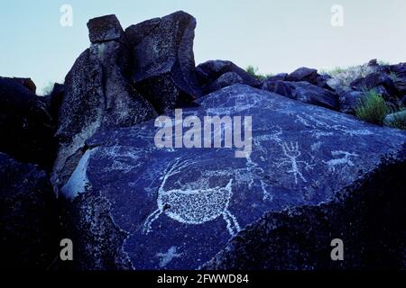 Cerfs, moutons et pétroglyphes chamanes, dans les montagnes Coso, Californie, États-Unis Banque D'Images