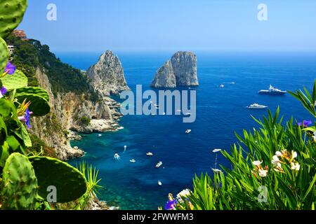 Capri vue sur la côte avec les rochers Faraglioni, fleurs et bateaux dans la mer bleue, Italie Banque D'Images
