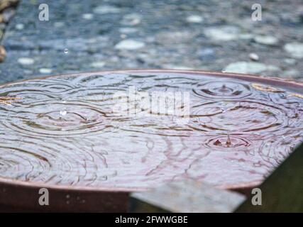 des gouttelettes de pluie sont capturées lorsqu'elles ont un impact sur une petite piscine d'eau et rebondir vers le haut et vers l'extérieur Banque D'Images