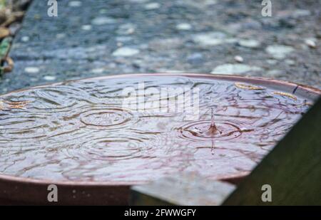 des gouttelettes de pluie sont capturées lorsqu'elles ont un impact sur une petite piscine d'eau et rebondir vers le haut et vers l'extérieur Banque D'Images