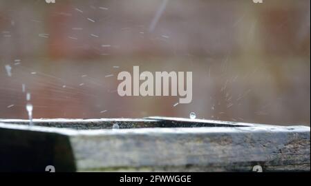 des gouttelettes de pluie sont capturées lorsqu'elles ont un impact sur une petite piscine d'eau et rebondir vers le haut et vers l'extérieur Banque D'Images