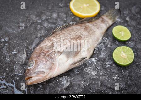 Poisson-mérou sur glace avec citron romarin, poisson frais de fruits de mer crus pour les aliments cuits Banque D'Images