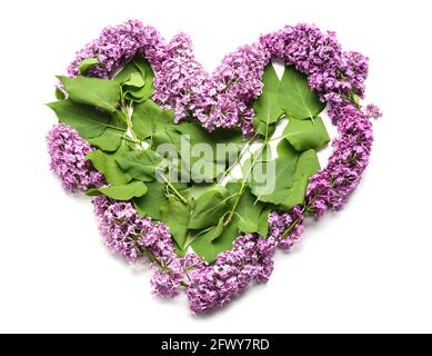 Coeur fait de belles fleurs lilas sur fond blanc Banque D'Images