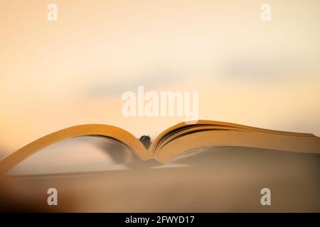 Passer une agréable soirée chaude lecture d'un livre intéressant en plein air. Gardez un stylo pour marquer les choses les plus importantes. Passe-temps calme et agréable. Auto-éducation Banque D'Images