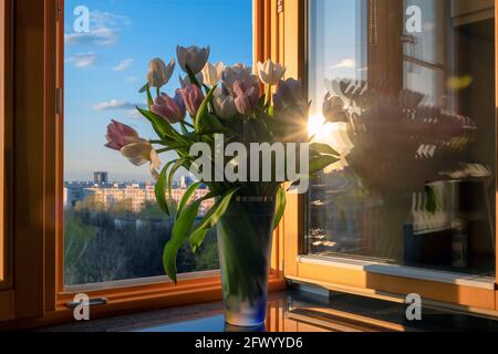 Un bouquet de tulipes de printemps au coucher du soleil Banque D'Images