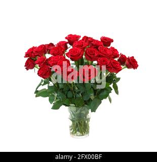 Bouquet de roses rouge foncé en fleurs dans vase isolé sur fond blanc. Banque D'Images