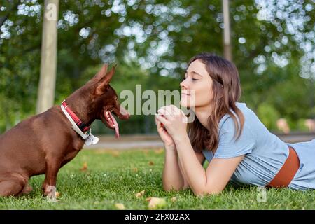 Gros plan d'une jeune femme allongé sur l'herbe verte avec son petit chien, le chien de race Pharaon, en plein air, dans un parc. Photo de haute qualité Banque D'Images