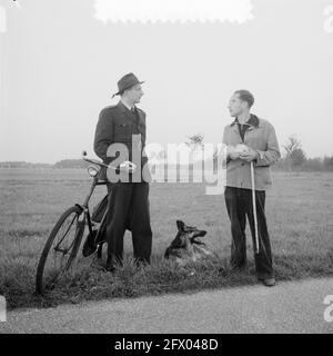 Troupeau de moutons à Amsterdam Bos, 10 octobre 1955, BOSSEN, troupeaux de moutons, Pays-Bas, Agence de presse du XXe siècle photo, nouvelles à retenir, documentaire, photographie historique 1945-1990, histoires visuelles, L'histoire humaine du XXe siècle, immortaliser des moments dans le temps Banque D'Images