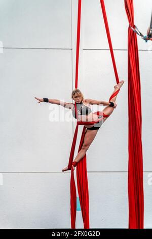 Sport agile et mince sur toute la longueur en mode activewear se décomposant sur des silks aériens rouges et regardant l'appareil photo lors d'un entraînement en studio acrobatique Banque D'Images