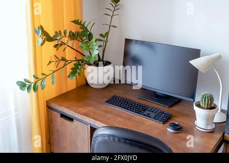 Lieu de travail avec table en bois et plante verte. Banque D'Images