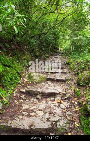 Machu Picchu, chemin vers la ville péruvienne de l'incan, site du patrimoine mondial de l'unesco, vallée sacrée, région de Cusco, Pérou Banque D'Images