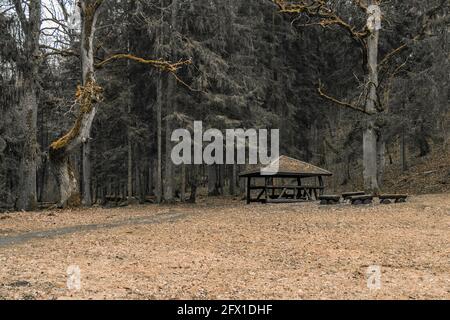 Aire de pique-nique avec bancs et table en bois Banque D'Images