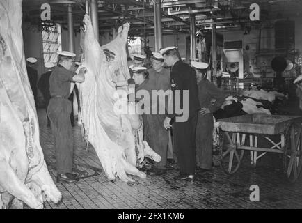 Commission MOC Hilversum le Grand à l'abattoir Utrecht, 13 septembre 1949, ABATTOIRS, COMMISSIONS, pays-Bas, agence de presse du xxe siècle photo, nouvelles à retenir, documentaire, photographie historique 1945-1990, histoires visuelles, L'histoire humaine du XXe siècle, immortaliser des moments dans le temps Banque D'Images