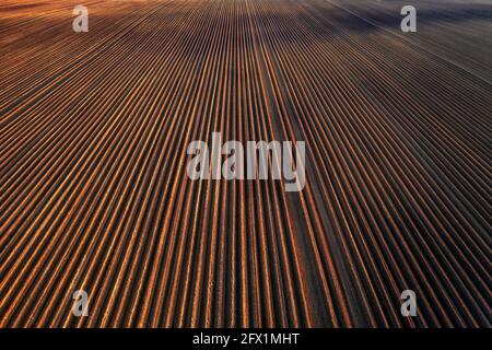 Rangées de terre avant la plantation. Champ labouré préparé pour la plantation de cultures au printemps. Vue aérienne de drone Banque D'Images