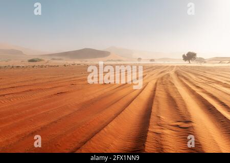 Tempête de sable à Sossusvlei dans le désert namibien avec dunes de sable rouge et pistes de voiture. Photographie de paysage Banque D'Images