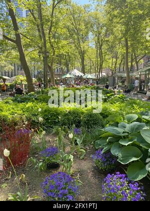 Printemps au Bryant Park, dans le centre-ville de Manhattan. Banque D'Images