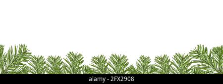 Décorations de Noël. Bordure de Noël avec branches de pin isolées sur fond blanc. Banque D'Images