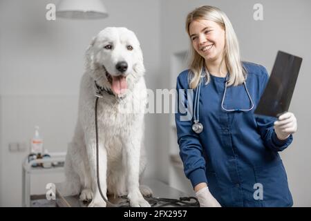 Le médecin vétérinaire heureux regarde son patient après avoir reçu une image médicale de rayons X des chiens paw avec de bons résultats dans la clinique vétérinaire. Soins aux animaux et visite d'un hôpital. Chien assis à la table d'examen. Banque D'Images