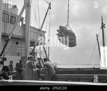 Déchargement du navire polonais Warnja Rotterdam (Prasa), 24 avril 1956, PERTE, navires, pays-Bas, agence de presse du xxe siècle photo, nouvelles à retenir, documentaire, photographie historique 1945-1990, histoires visuelles, L'histoire humaine du XXe siècle, immortaliser des moments dans le temps Banque D'Images