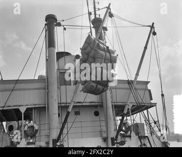 Déchargement du navire polonais Warnja Rotterdam (Prasa), 24 avril 1956, LOSSEN, schepen, pays-Bas, agence de presse du xxe siècle photo, nouvelles à retenir, documentaire, photographie historique 1945-1990, histoires visuelles, L'histoire humaine du XXe siècle, immortaliser des moments dans le temps Banque D'Images