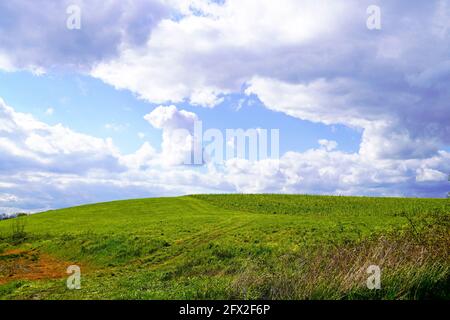 Paysage avec des champs verts près d'Ahlen, Dolberg. Nature avec prairie verte et ciel bleu avec nuages blancs. Banque D'Images