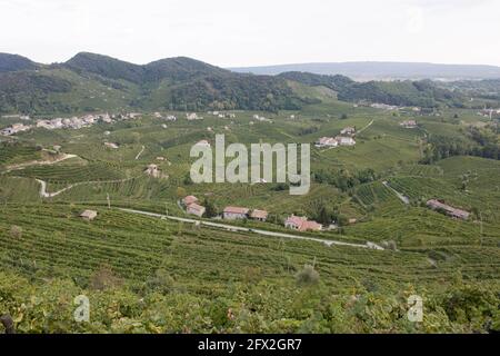 Italie,Trévise, Santo Stefano Valdobbiadene, domaine Cantine BISOL, producteurs de vin prosecco supérieur, vignobles vue panoramique photo © Sandro Mich Banque D'Images