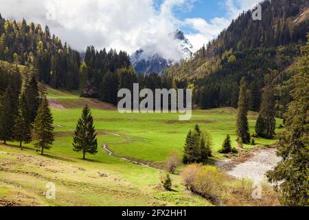 Montagnes avec des voiles de brume et des arbres de couleur verte Printemps dans les Alpes Banque D'Images