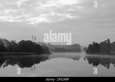 Photo en niveaux de gris d'un lac calme entouré d'arbres reflétés dans l'eau par un jour sombre Banque D'Images