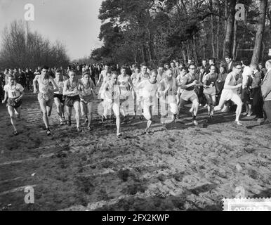 Maple Leaf Field race à Hilversum, 1er mars 1959, pays-Bas, agence de presse du 20e siècle photo, news to Remember, documentaire, photographie historique 1945-1990, histoires visuelles, L'histoire humaine du XXe siècle, immortaliser des moments dans le temps Banque D'Images