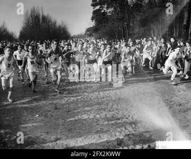 Maple Leaf Field race à Hilversum, 1er mars 1959, pays-Bas, agence de presse du 20e siècle photo, news to Remember, documentaire, photographie historique 1945-1990, histoires visuelles, L'histoire humaine du XXe siècle, immortaliser des moments dans le temps Banque D'Images