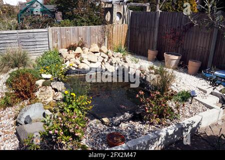 PETIT ÉTANG DE LA FAUNE DANS UN JARDIN INTÉRIEUR ARRIÈRE. ROYAUME-UNI. Banque D'Images