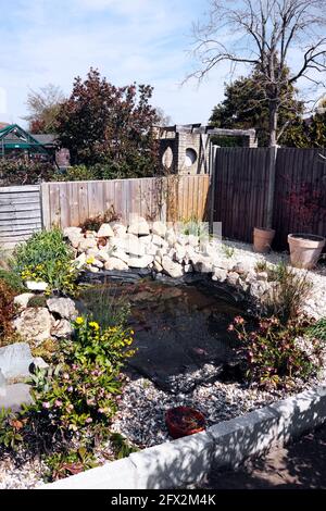 PETIT ÉTANG DE LA FAUNE DANS UN JARDIN INTÉRIEUR ARRIÈRE. ROYAUME-UNI. Banque D'Images