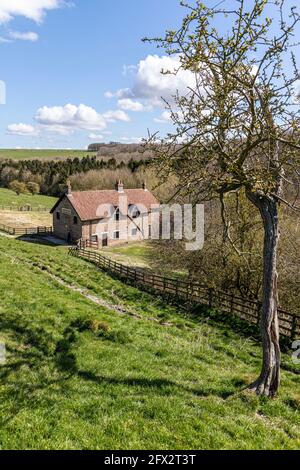 Wharram Percy Village médiéval déserté sur les Yorkshire Wolds, North Yorkshire, Angleterre Royaume-Uni - ouvriers agricoles chalets 1851. Banque D'Images