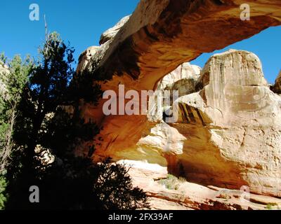 Vue sur Hickman Bridge, un pont naturel en grès, par une journée ensoleillée dans le parc national de Capitol Reef, Utah, États-Unis Banque D'Images