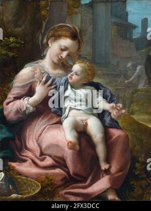 La Madonna du Panier de Correggio (Antonio Allegri da Correggio, 1489-1534), huile sur panneau de bois, c.1524 Banque D'Images