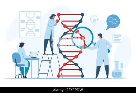 Recherche sur l'adn génétique. Scientifiques recherchant et analysant des molécules d'adn en laboratoire. Biotechnologie, concept de vecteur d'ingénierie du génome. Tests moléculaires, expériences en laboratoire clinique Illustration de Vecteur