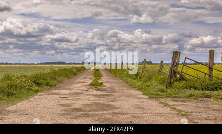 Piste d'agriculture en béton et portail en bois dans le paysage agricole néerlandais sous le ciel du printemps. Zwolle, pays-Bas. Banque D'Images