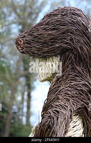 Culzean Castle Grounds, South Ayrshire, Écosse, Royaume-Uni. Une série de sculptures de saules représentant des créatures réelles et mythiques, de la mer et de l'eau. Banque D'Images