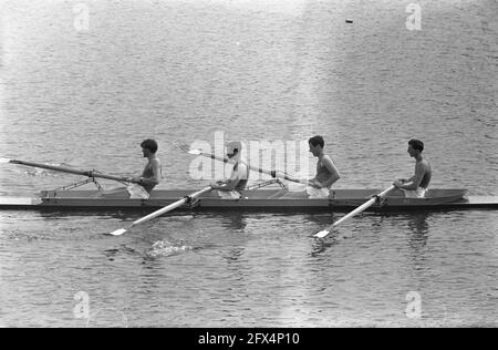 Championnats européens d'aviron sur le Bosbaan, quatre sans n° 12 Roumanie, 13 Irlande, n° 14 Italie, 6 août 1964, Aviron, championnats, pays-Bas, agence de presse du XXe siècle photo, news to remember, documentaire, photographie historique 1945-1990, histoires visuelles, L'histoire humaine du XXe siècle, immortaliser des moments dans le temps Banque D'Images