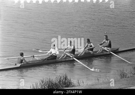 Championnats européens d'aviron sur le Bosbaan, quatre avec stu 10, 11, 12, 13 Pologne, Hollande, Suisse, Autriche, 7 août 1964, Rowing, championnats, pays-Bas, agence de presse du XXe siècle photo, news to Remember, documentaire, photographie historique 1945-1990, histoires visuelles, L'histoire humaine du XXe siècle, immortaliser des moments dans le temps Banque D'Images