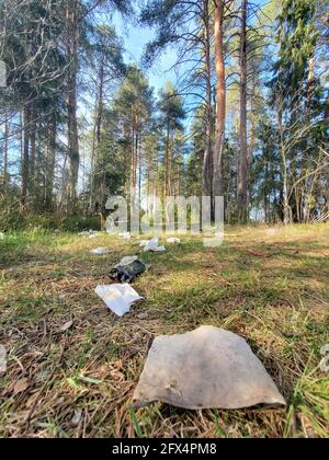 La photographie n'est pas un déchet autorisé, qui est un déchet de la nature de la forêt de pins. Banque D'Images