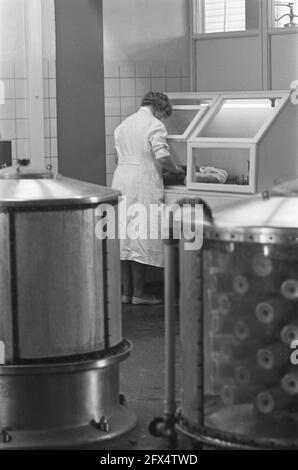 Admissions au Laboratoire central du Service transfusionnel de la Croix-Rouge des pays-Bas à Amsterdam, 25 août 1959, soins de santé, hôpitaux, Pays-Bas, Agence de presse du XXe siècle photo, nouvelles à retenir, documentaire, photographie historique 1945-1990, histoires visuelles, L'histoire humaine du XXe siècle, immortaliser des moments dans le temps Banque D'Images