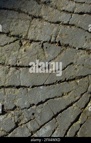 Gros plan d'un mur en béton Banque D'Images